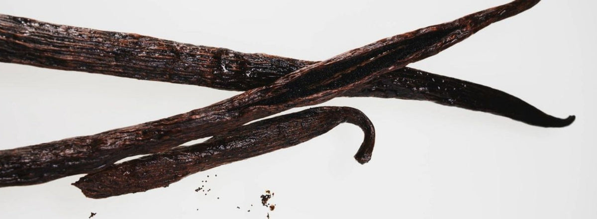 Vanille et fève tonka, le duo classique de la parfumerie